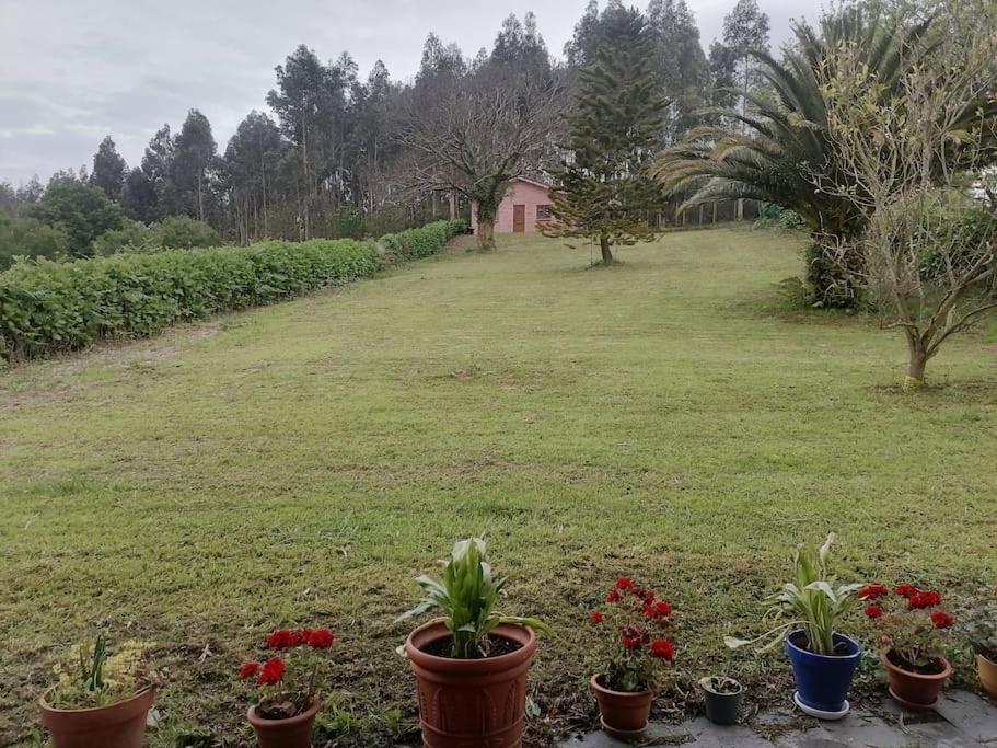 La Casa Azul De Lua Un Lugar Magico Βίλα Juncedo Εξωτερικό φωτογραφία
